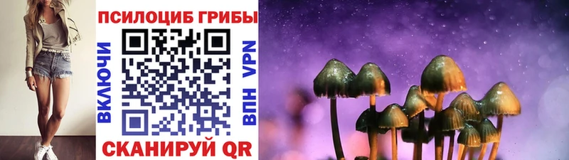 Псилоцибиновые грибы GOLDEN TEACHER  Николаевск-на-Амуре 